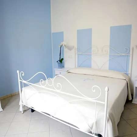 Stella D'oro וילסימיוס