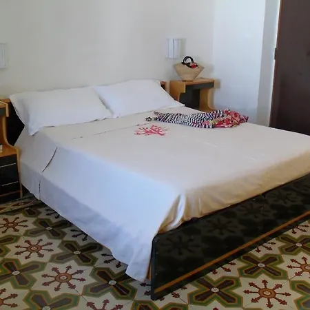 Stella D'oro וילסימיוס